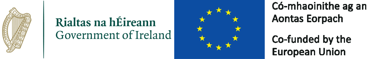the logo of the Government of Ireland adjacent to the flag of the European Union