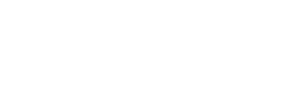 logo of SOLAS